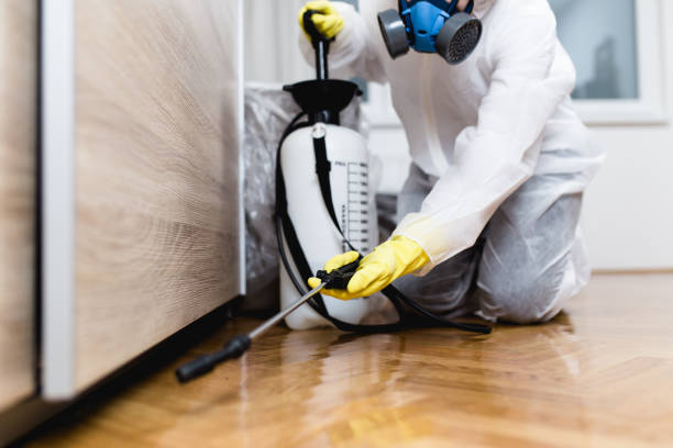 Best Termite Control Services  in Wadsworth, IL