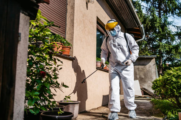 Best Best Pest Control Companies  in Wadsworth, IL