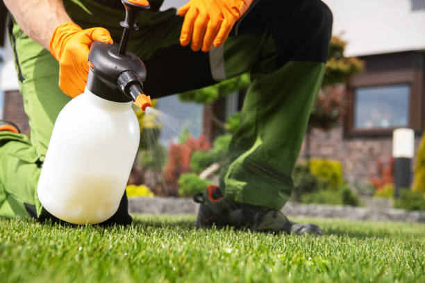 Best Pest Control Near Me in Wadsworth, IL