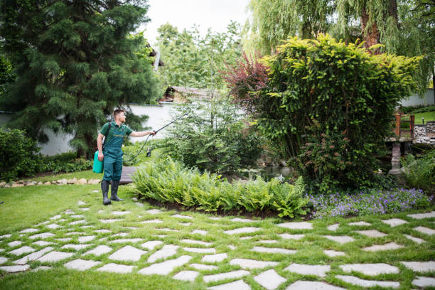 Best Pest Prevention Services  in Wadsworth, IL