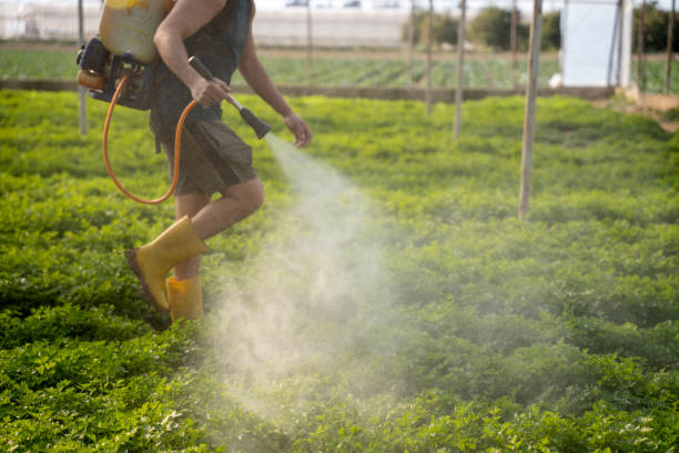 Best Pest Control Cost  in Wadsworth, IL