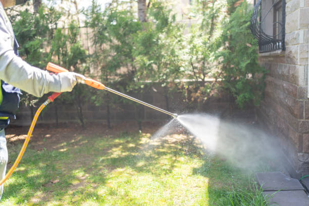 Best Mosquito Control Services  in Wadsworth, IL