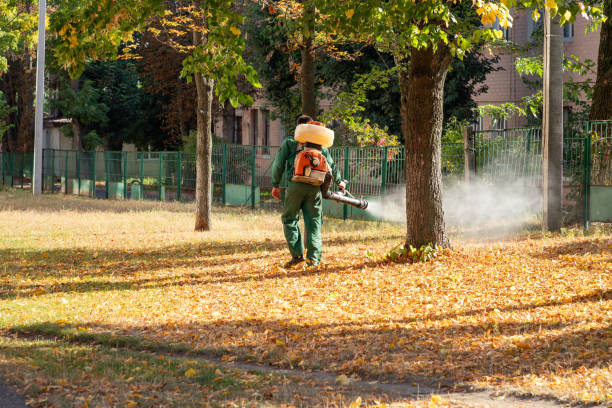 Best Affordable Pest Control Services  in Wadsworth, IL