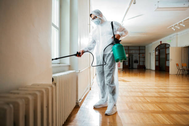 Best Pest Removal Services  in Wadsworth, IL