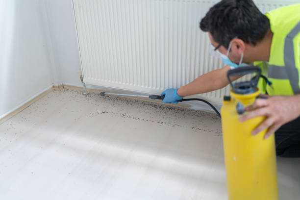 Pest Control Cost in Wadsworth, IL