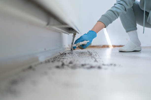 Best Commercial Pest Control Services  in Wadsworth, IL
