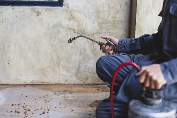 Best Residential Pest Control  in Wadsworth, IL